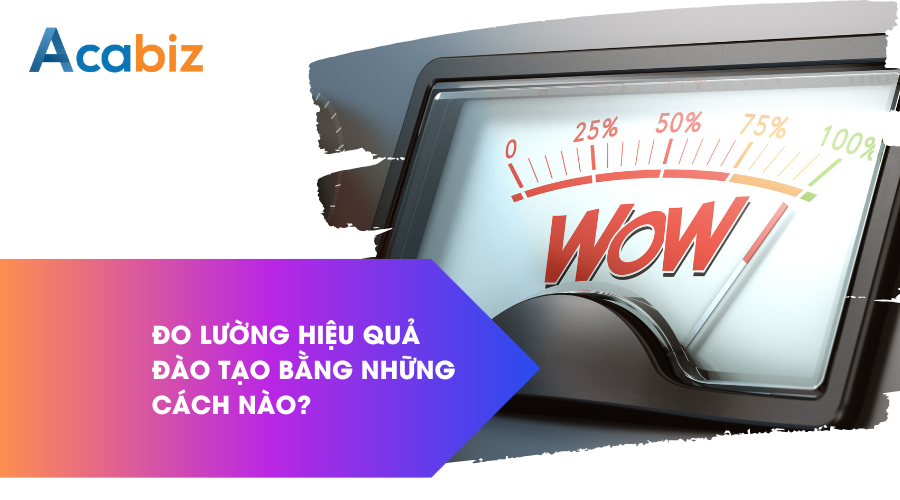 Đo lường hiệu quả đào tạo bằng những cách nào?