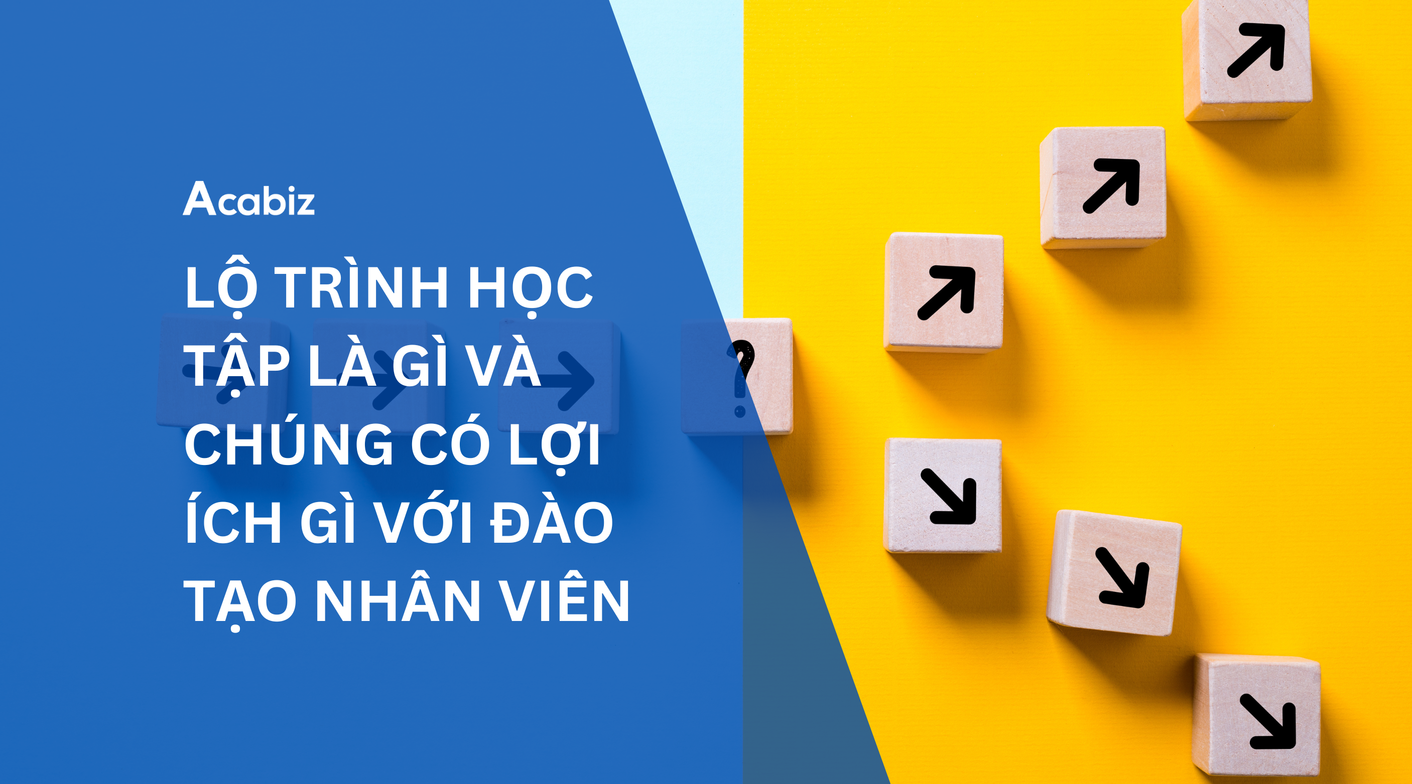 LỘ TRÌNH HỌC TẬP LÀ GÌ VÀ CHÚNG CÓ LỢI ÍCH GÌ VỚI ĐÀO TẠO NHÂN VIÊN